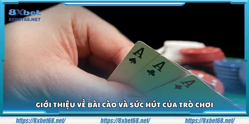 Giới thiệu trò Bài Cào và sức hút của nó