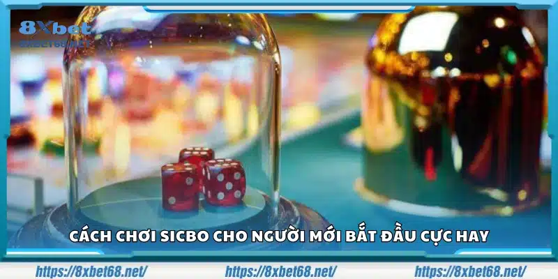 Hướng dẫn cách chơi sicbo cho người bắt đầu